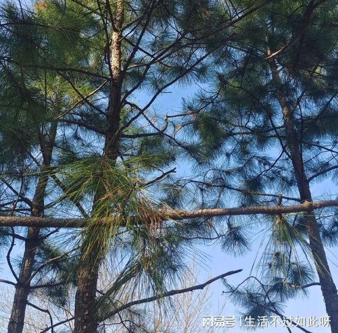 得好的人运气总是不会差马竞合作伙伴为什么说穿(图1)