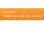 重点企业综合竞争力（图）2025年中国智